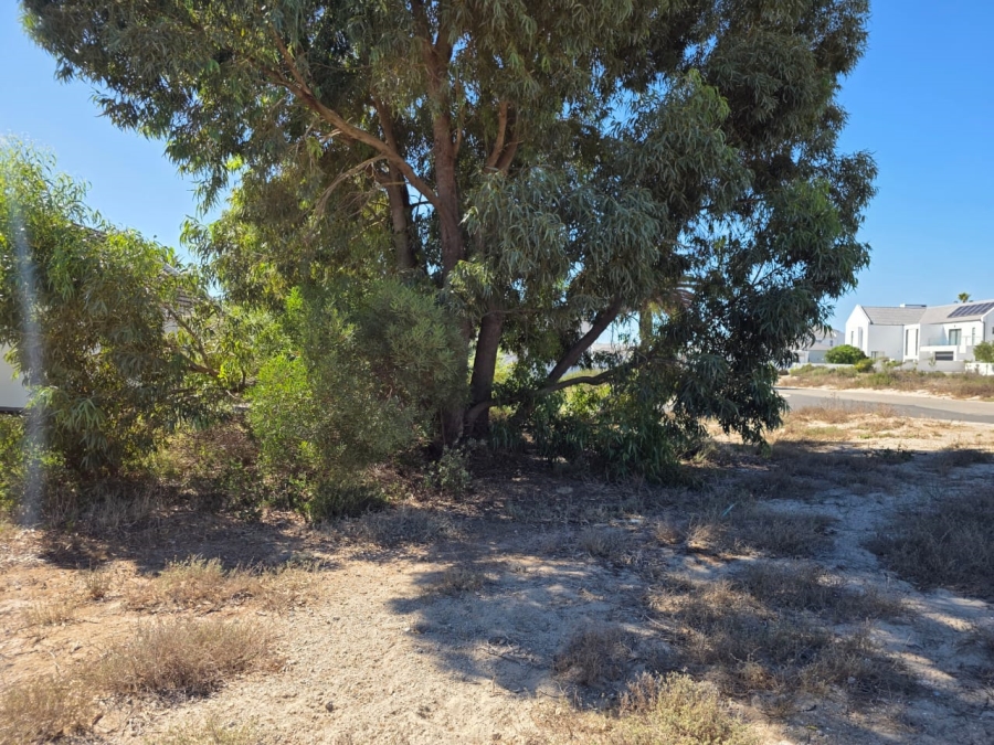 3 Bedroom Property for Sale in Shelley Point Western Cape